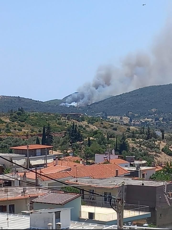 Φωτιά τώρα στο Γραμματικό – Κλήση και για εναέρια μέσα, μήνυμα από το 112