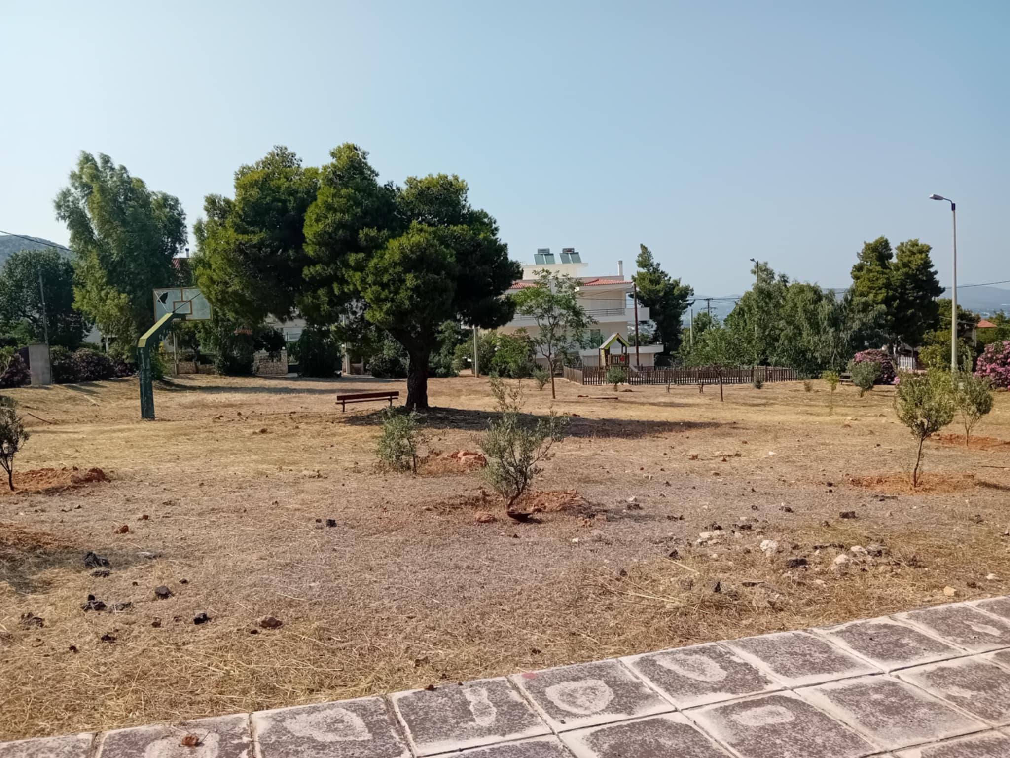 Δράσεις Πολιτικής Προστασίας Δήμου Μαραθώνος από 11 έως 18-06-25