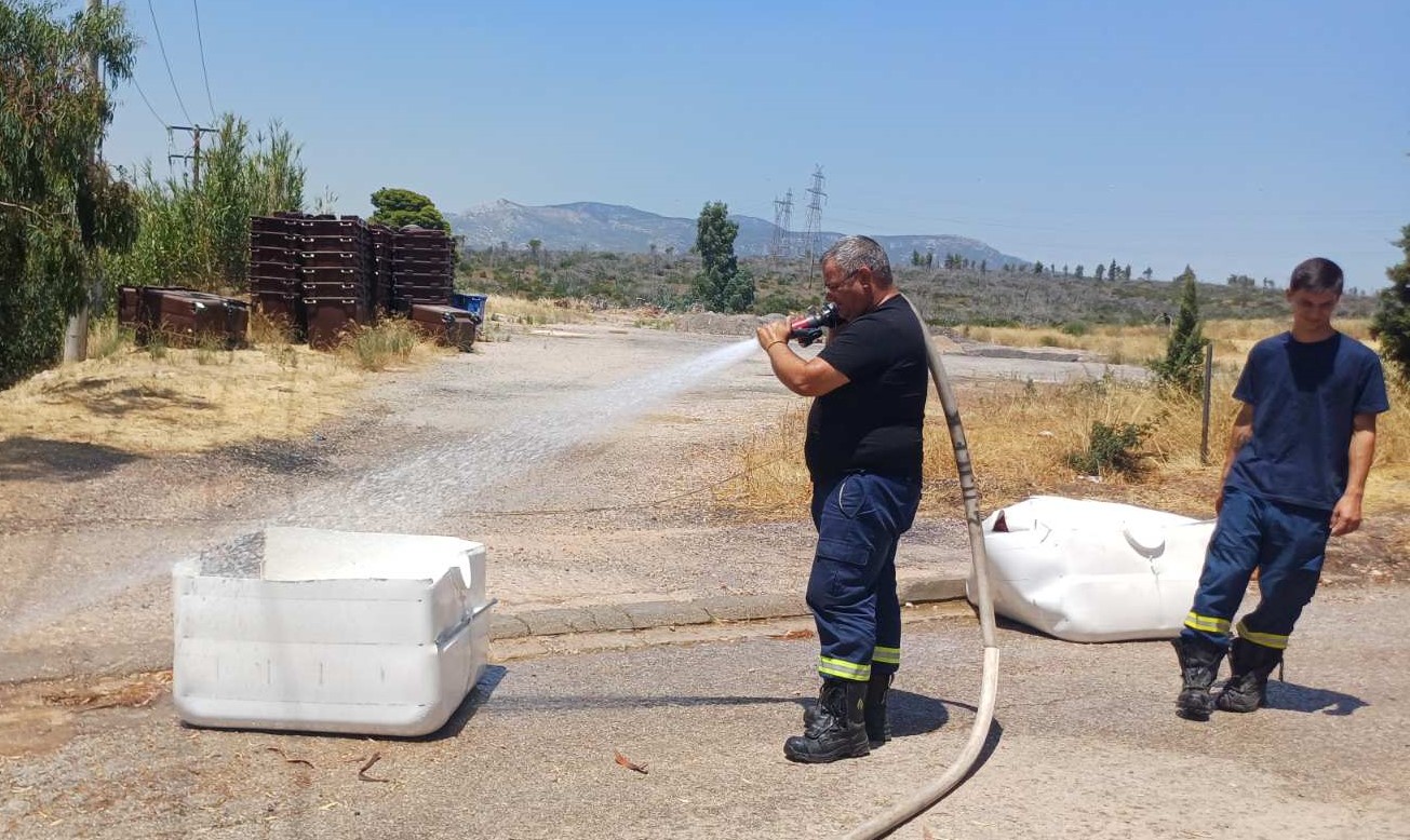 Δεξαμενές νερού στο Τατόι για τη στήριξη της άγριας πανίδας