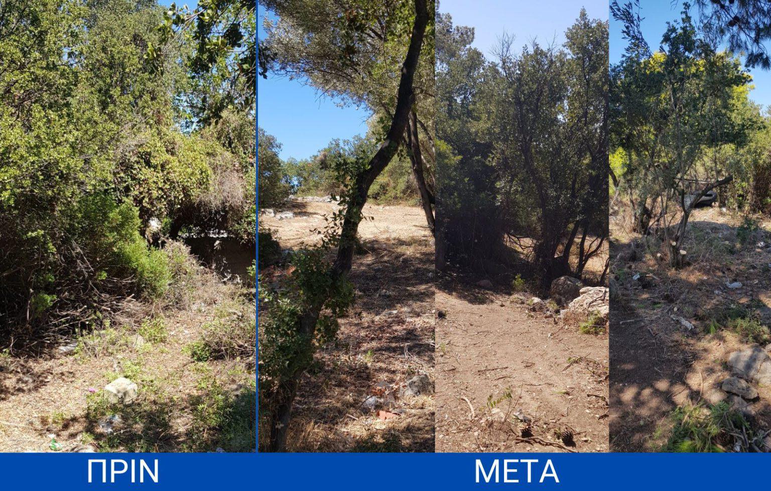 Παρέμβαση καθαρισμού στο Γέρακα από το Δήμο Παλληνης – Προτεραιότητα η δημόσια υγεία και η πυροπροστασία