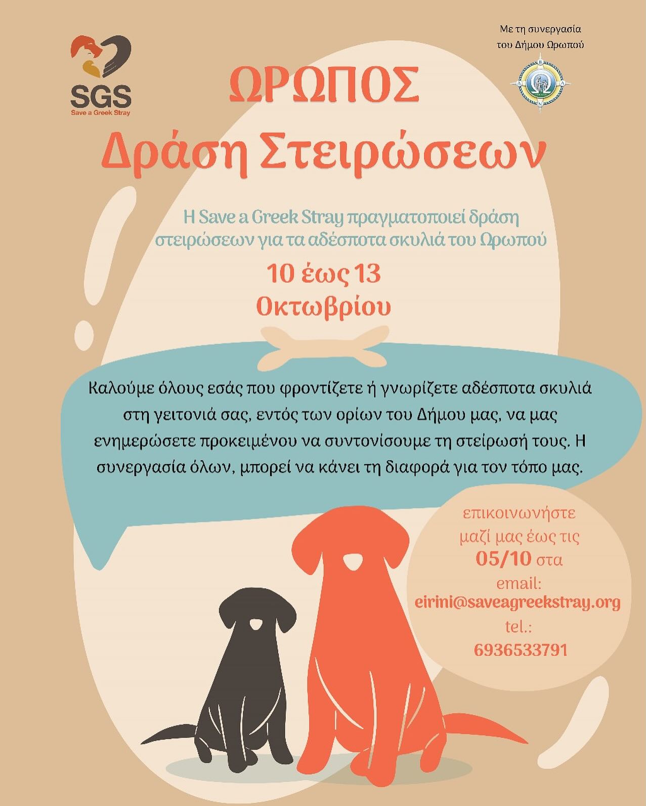 Δράση αγάπης για τα αδέσποτα στον Ωρωπό: Βοηθήστε να στειρωθούν τα αδέσποτα