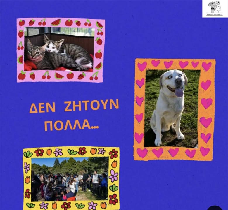 Ημέρα υιοθεσίας αδέσποτων ζώων Δήμου Διονύσου την Κυριακή 30/11, στην Πλατεία Δροσιάς