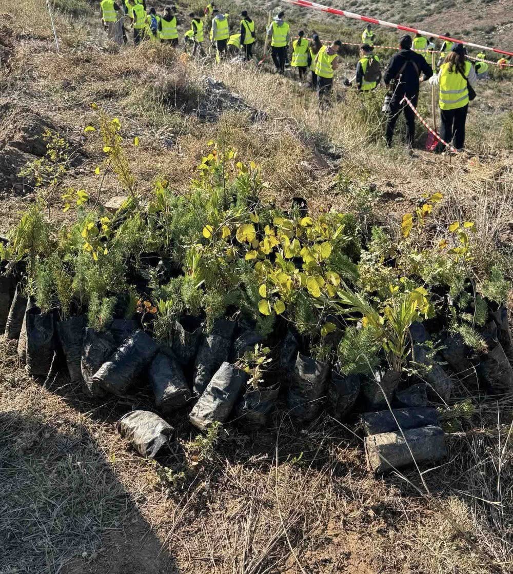 Η νέα φυτευτική περίοδος ξεκίνησε με 670 νέες φυτεύσεις δέντρων στον Δήμο Παλλήνης