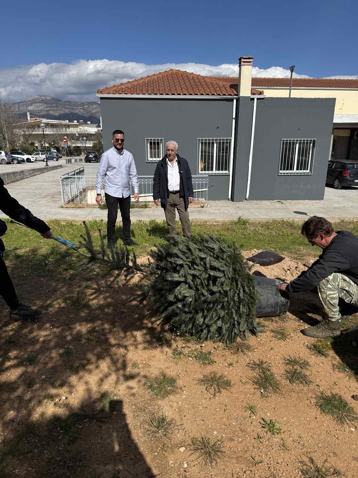 Ξεκίνησαν οι προγραμματισμένες δεντροφυτεύσεις στις Αχαρνές