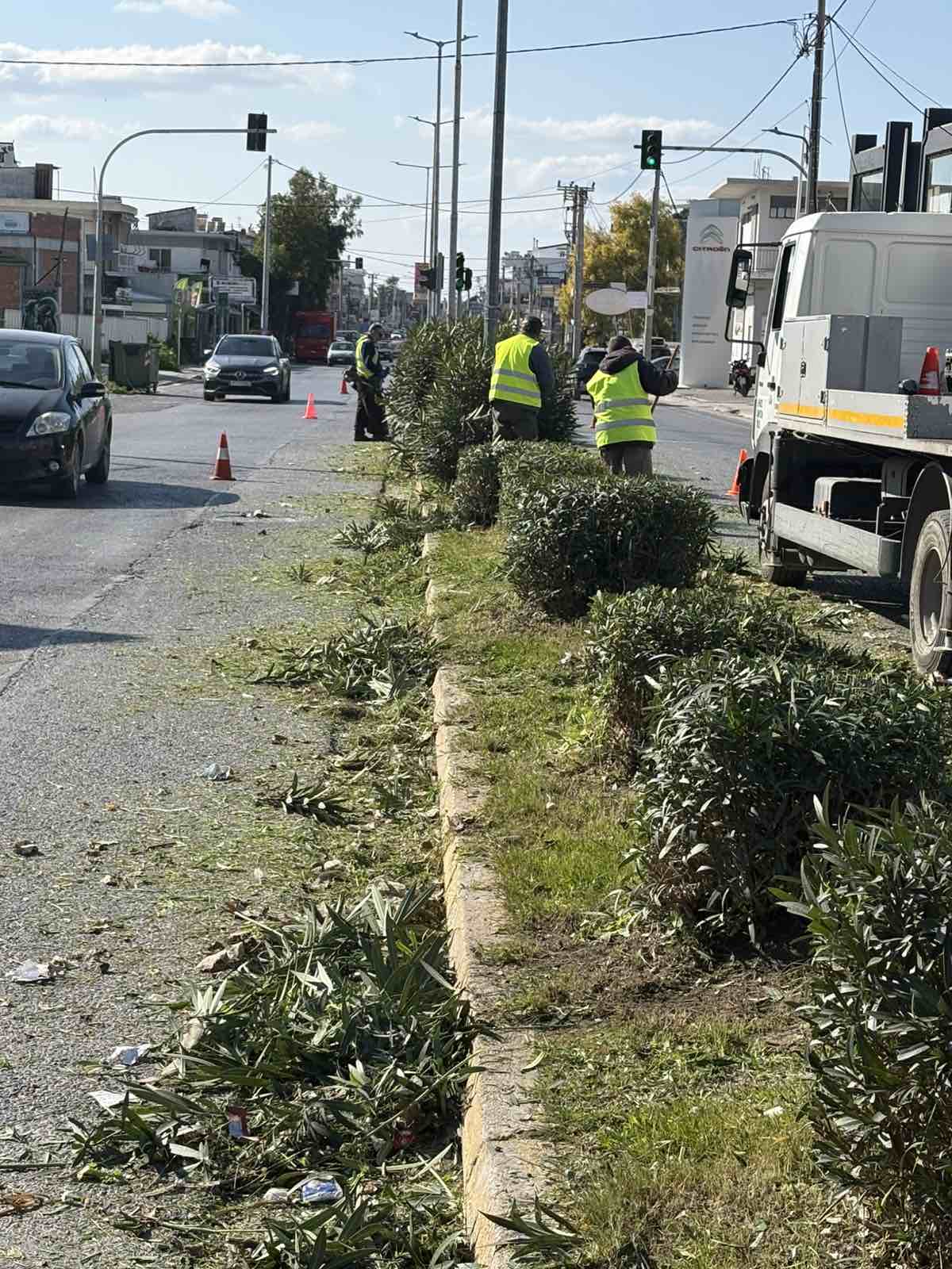 Καθαρισμοί και αποψιλώσεις από τη Διεύθυνση Πρασίνου σε κεντρικές λεωφόρους του Δήμου Αχαρνών