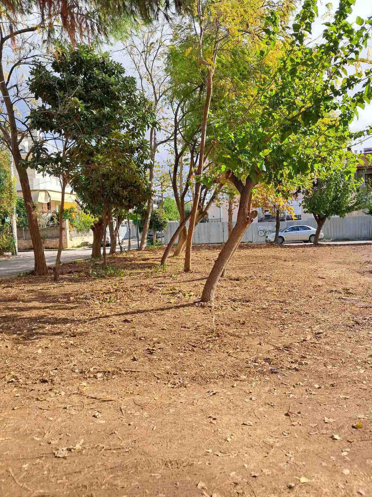 Δήμος Παλλήνης: Ξεκινούν από 1η Απριλίου οι υποχρεωτικοί καθαρισμοί οικοπέδων – Υποχρεωτική και η δήλωση καθαρισμού για το 2026