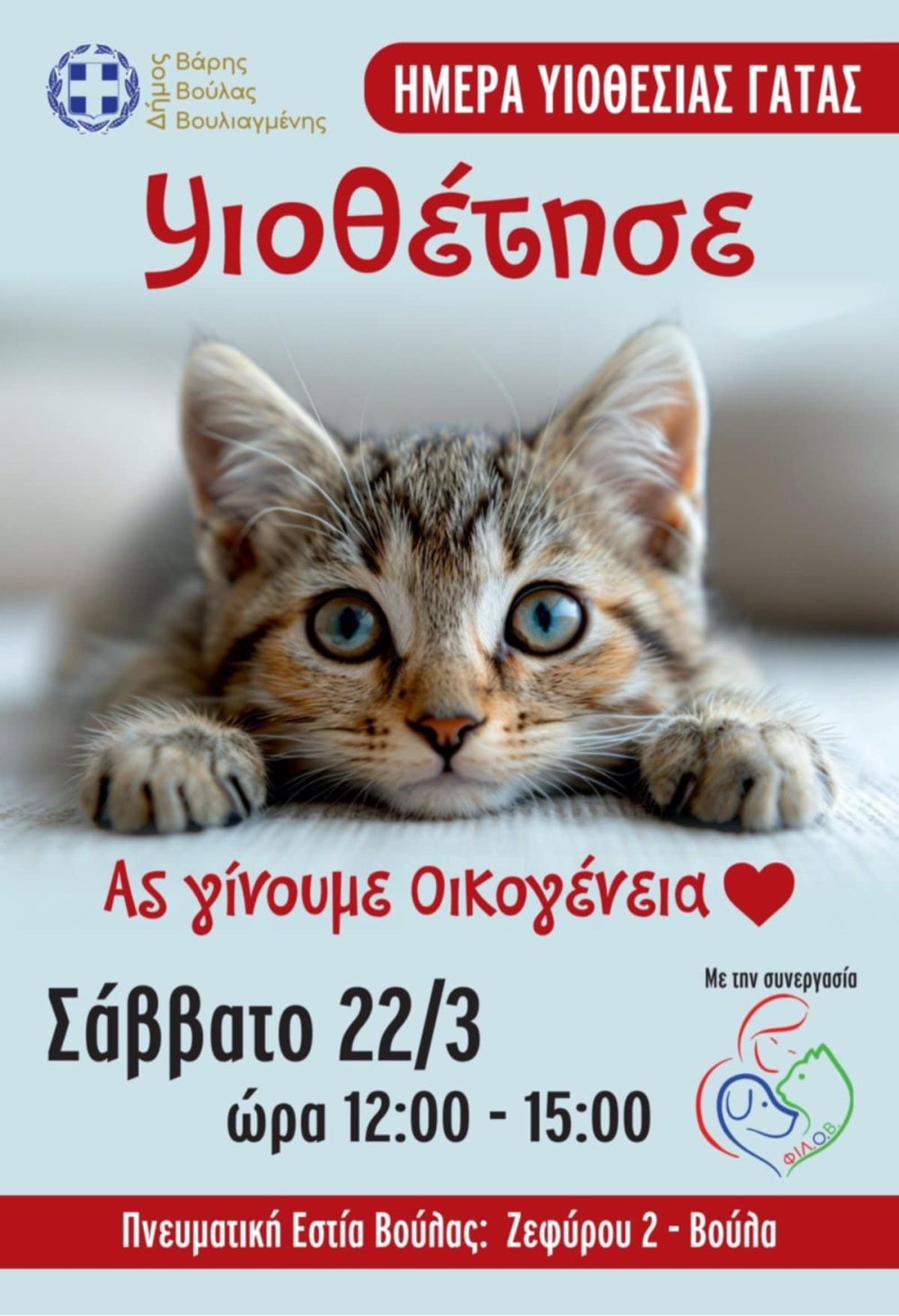 Ημέρα υιοθεσίας γάτας στο Δήμο Βάρης Βούλας Βουλιαγμένης