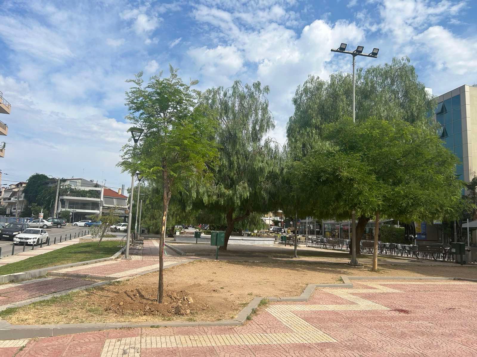  Ο Δήμος Παλλήνης ενισχύει το πράσινο στην Πλατεία Μακεδονίας, στον Γέρακα, με νέα δενδροφύτευση
