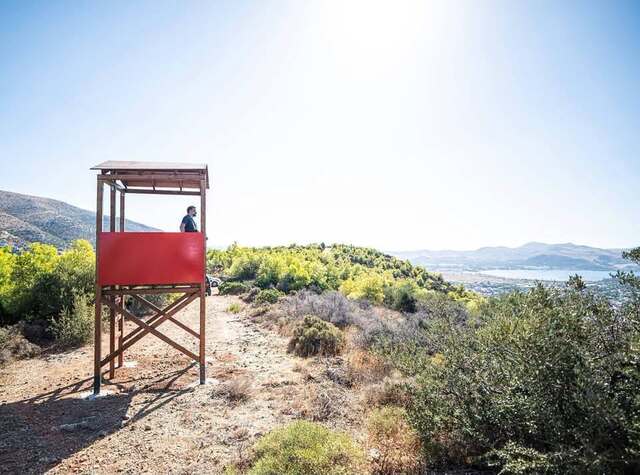 Νέο πυροφυλάκιο στο πευκοδάσος της Σαρωνίδας
