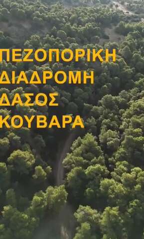 Έτοιμη η περιπατητική διαδρομή στο δάσος του Κουβαρά