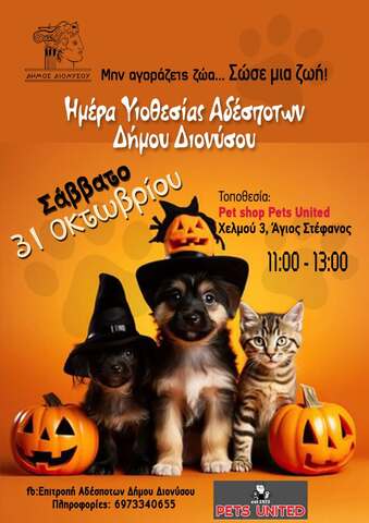 Mια ξεχωριστή «Halloween Ημέρα Υιοθεσίας Αδέσποτων» στο Δήμο Διονύσου, το Σάββατο 31 Οκτωβρίου   
