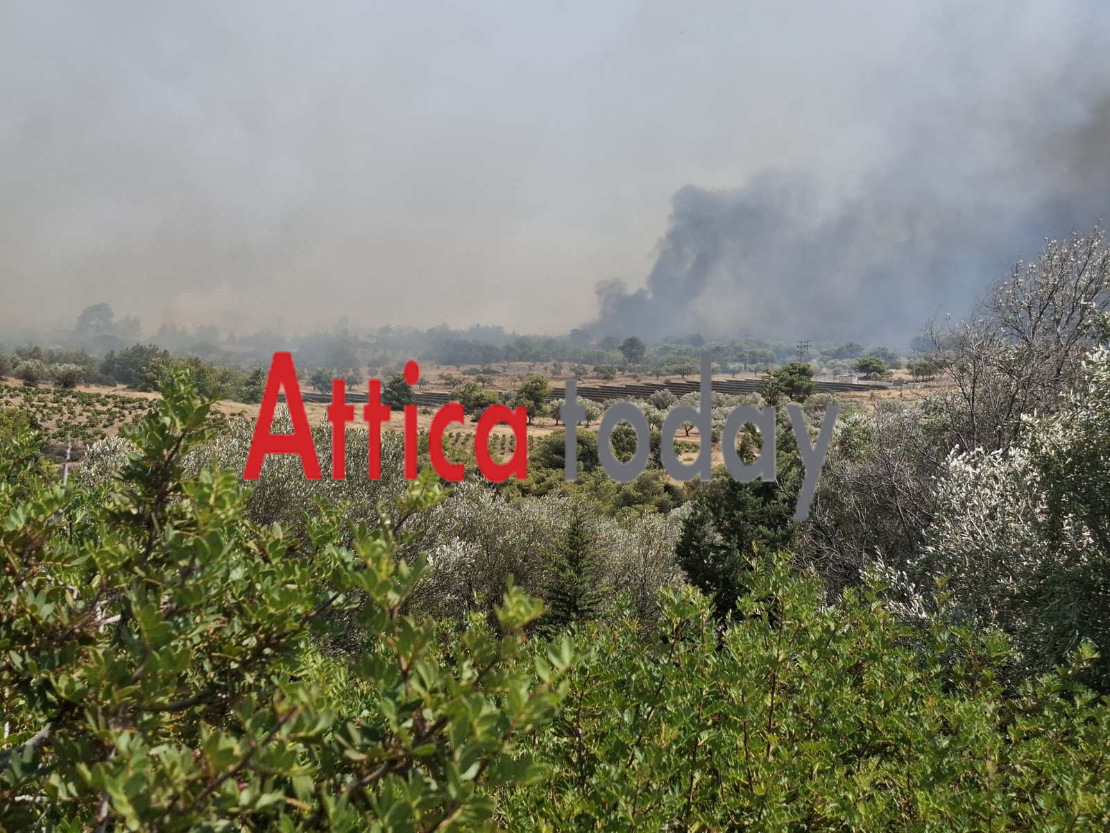 Μάχη με τις διάσπαρτες εστίες στην Κερατέα - Μήνυμα 112 για εκκένωση από Δροσιά προς Ανάβυσσο, δείτε βίντεο(Ανανεώνεται)