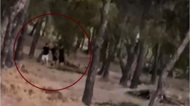 Πρωτοφανείς εικόνες στην Πεντέλη από τη στιγμή που ανήλικοι βάζουν φωτιά σε πευκοδάσος για challenge