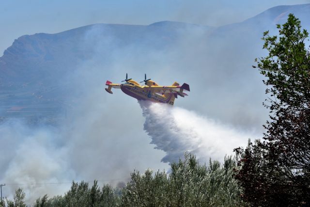 Φωτιά σε χαμηλή βλάστηση στο Κορωπί - Επιχειρούν και εναέρια μέσα