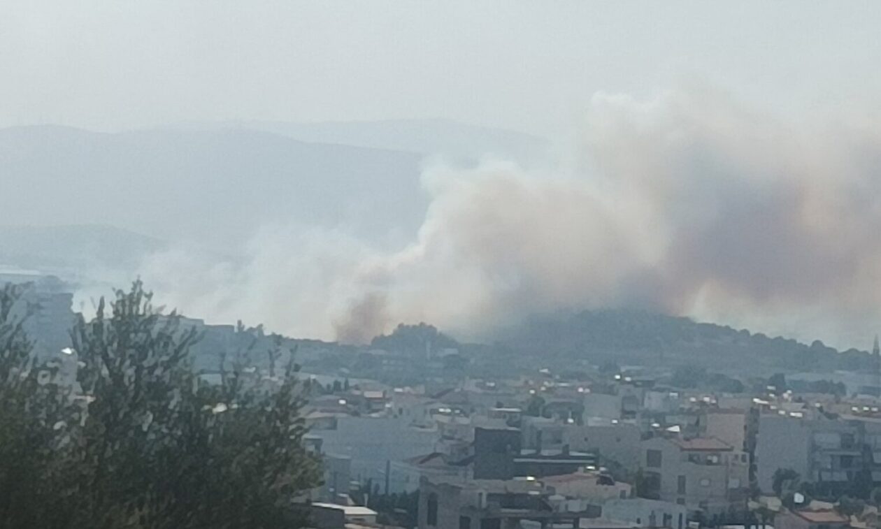 Φωτιά στον Ασπρόπυργο: Μήνυμα από το 112 για εκκένωση στη Λάκκα Κατσαρή