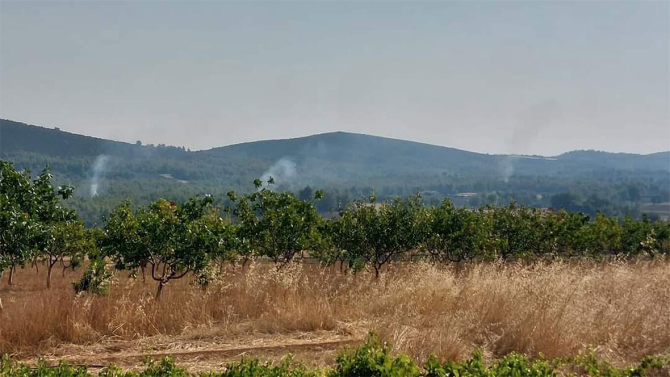 Τέσσερις προσαγωγές για εμπρησμό σε Αυλώνα και Μενίδι