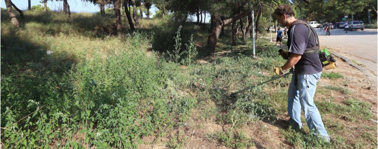 Βαριά "καμπάνα" για όσους δεν καθαρίζουν τα οικόπεδά τους - Πρόστιμα και για απλήρωτους λογαριασμούς ηλεκτρικού
