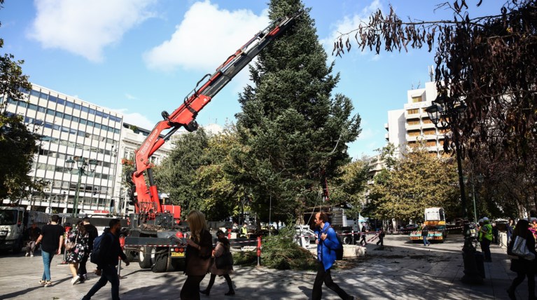 Σε χριστουγεννιάτικο ρυθμό η Αθήνα: Τοποθετήθηκε το τεράστιο δέντρο στην πλατεία Συντάγματος