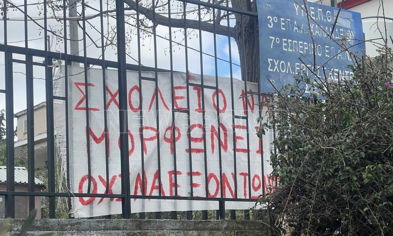 Χαλάνδρι: Η διευθύντρια έβαζε μαθητές να μαζεύουν πευκοβελόνες - «Ξεχώριζε τα παιδιά», λένε γονείς