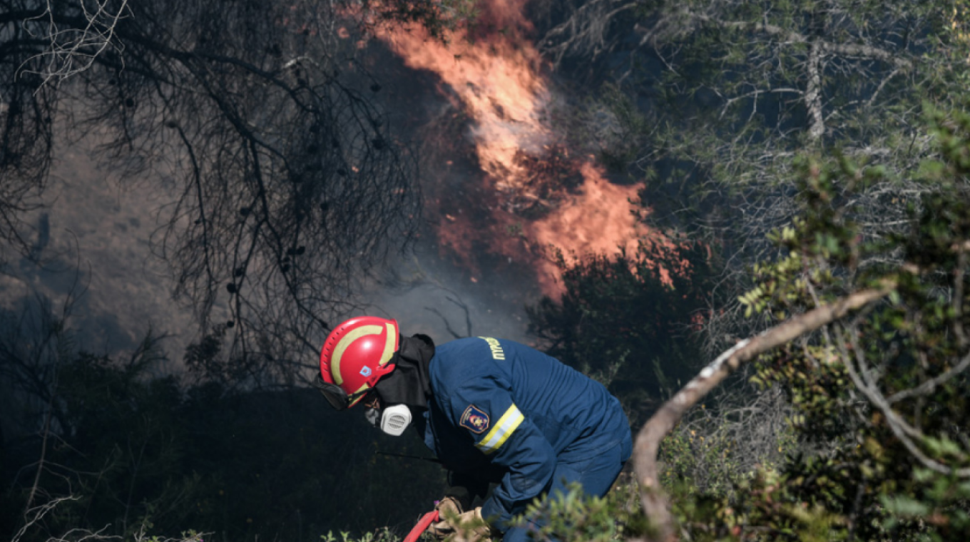Προσλήψεις 650 δασοκομάντος στην Πυροσβεστική - Δείτε το ΦΕΚ