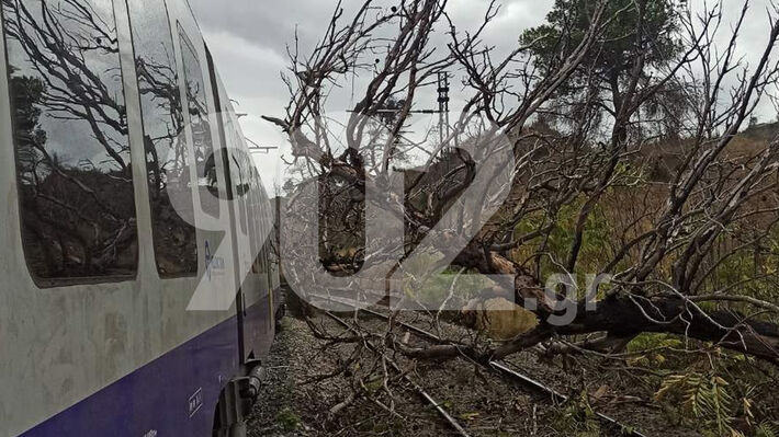 Νέα πτώση δέντρου στις γραμμές του τρένου - Από τύχη δεν σημειώθηκε τραυματισμός εργαζομένου ή επιβάτη