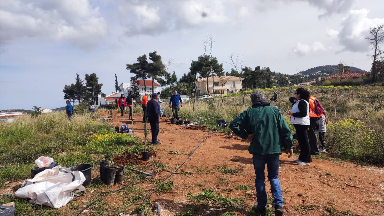 Δεντροφύτευση στο Λόφο Πνυκός – Όλοι μαζί προστατεύουμε το περιβάλλον