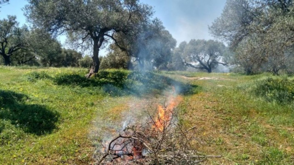 Δήμος Βάρης Βούλας Βουλιαγμένης - Μέτρα για την πρόληψη και αποφυγή εκδήλωσης πυρκαγιών