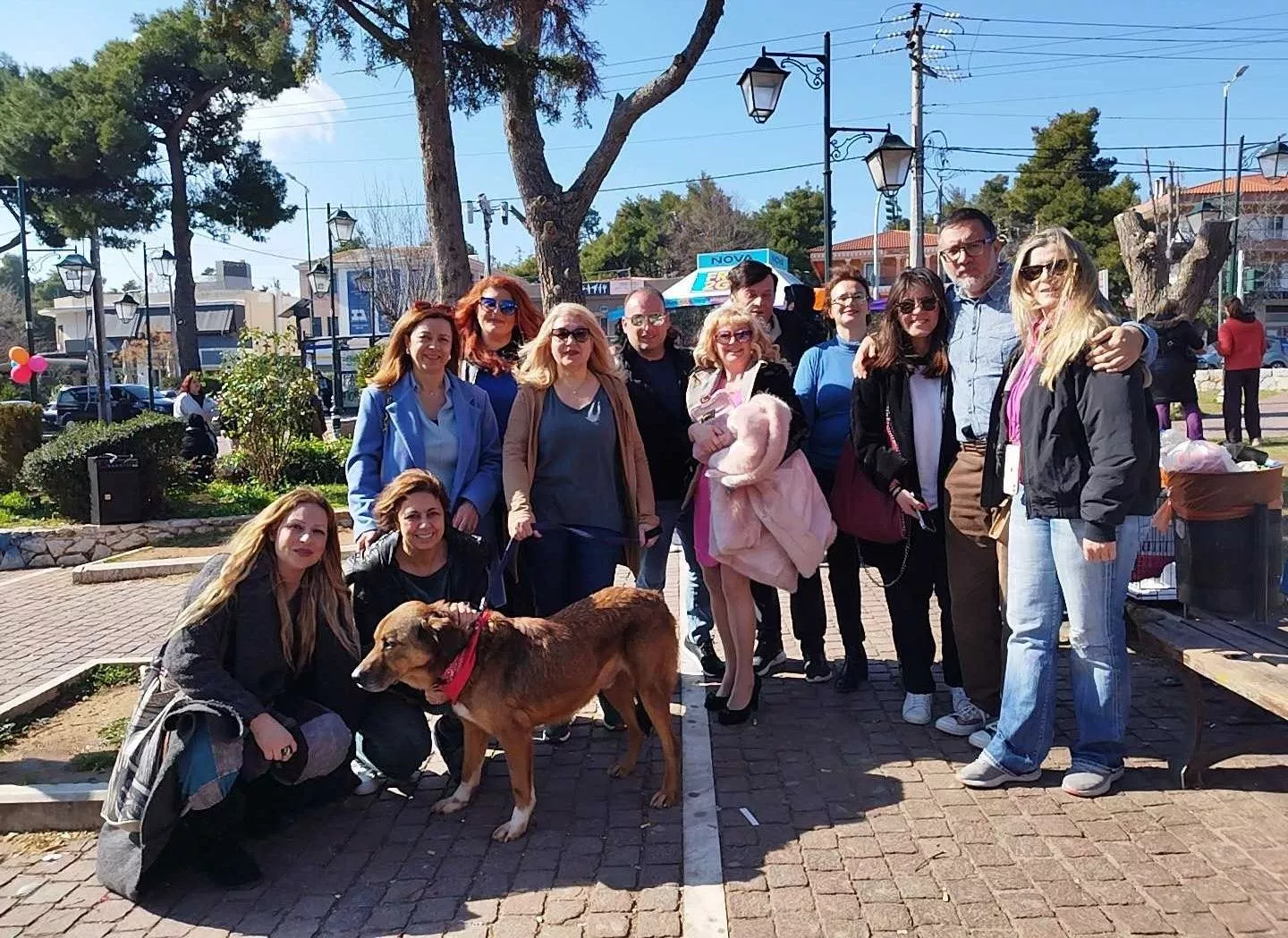 Με μεγάλη επιτυχία η ημέρα υιοθεσίας αδέσποτων ζώων Δήμου Διονύσου