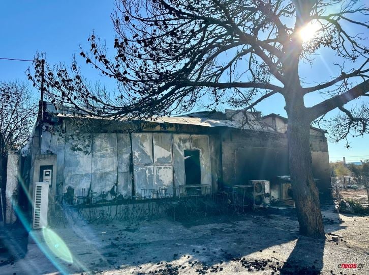 Φωτιά στην Αττική: Ευρεία σύσκεψη στην Πεντέλη υπό τον Κυριάκο Μητσοτάκη – 146 κατοικίες είναι ακατάλληλες προς χρήση