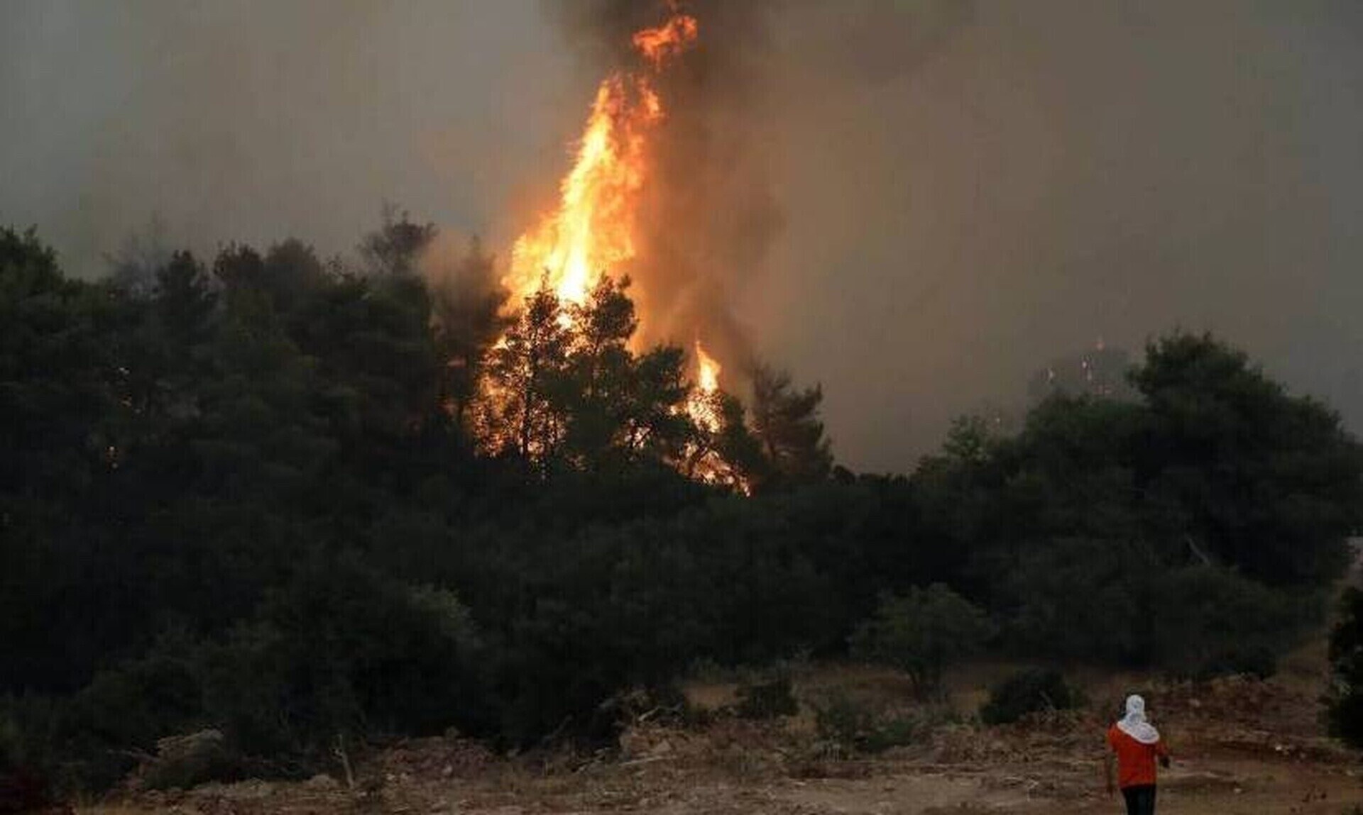Φωτιά στη Βραυρώνα - Στη μάχη της κατάσβεσης και εναέρια μέσα