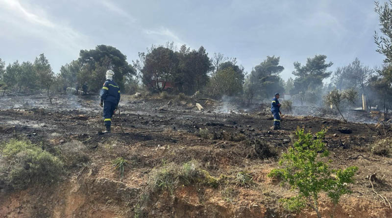Έσβησε η φωτιά που ξέσπασε σε δασική έκταση στο δήμο Σπάτων - Αρτέμιδος