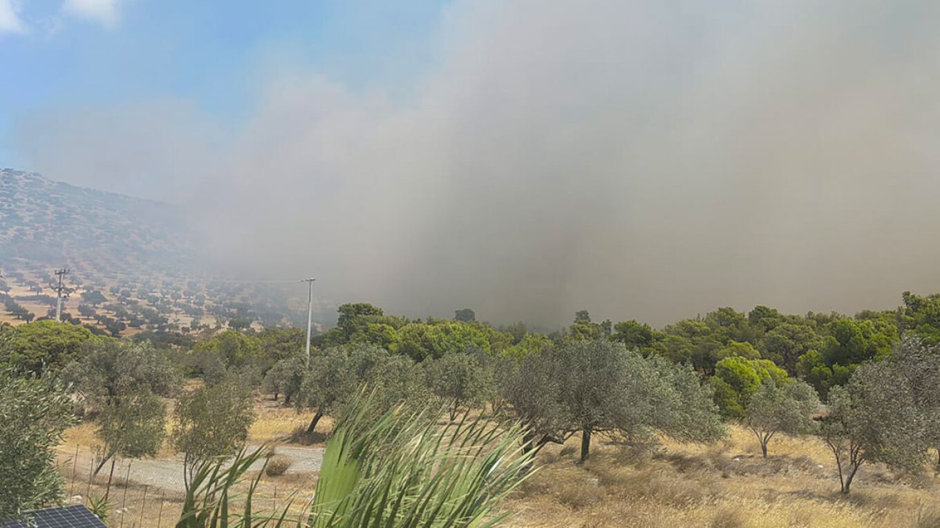 Φωτιά τώρα στην Κερατέα - Δυνάμεις της Πυροσβεστικής σπεύδουν στο σημείο