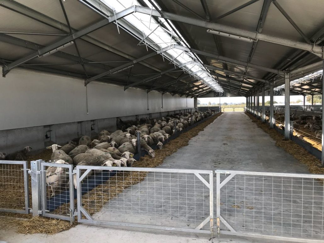 Δήμος Κρωπίας: «Περισυλλογή, μεταφορά, διατροφή, διατήρηση και σήμανση ανεπιτήρητων παραγωγικών ζώων 2024» - Προς κάθε ενδιαφερόμενο