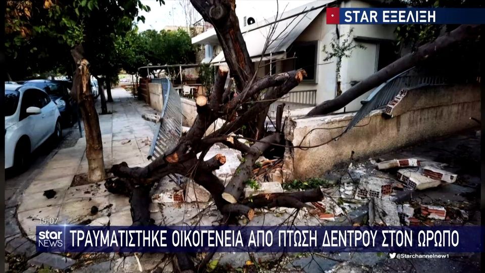 Ωρωπός: Από θαύμα γλίτωσε τετραμελής οικογένεια όταν δέντρο έπεσε στο αυτοκίνητό τους