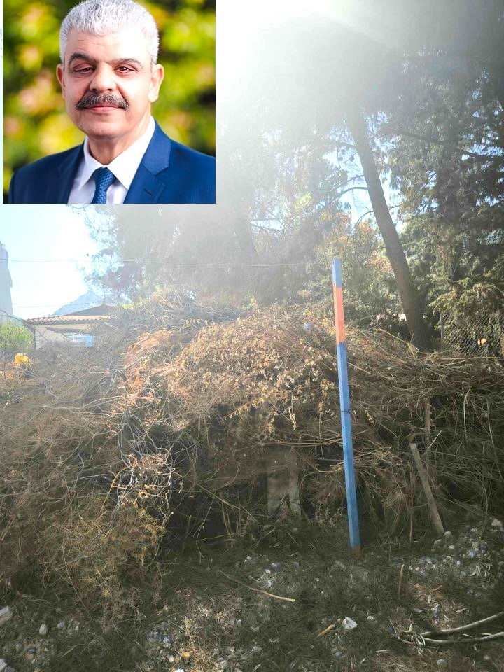 Καταγγελία γυναίκας δημότη δήμου Μαραθώνα γιατί μη αποκομιδή κλαριών. Η πολιτική ανικανότητα του αντιδημάρχου κ. Ζούρου