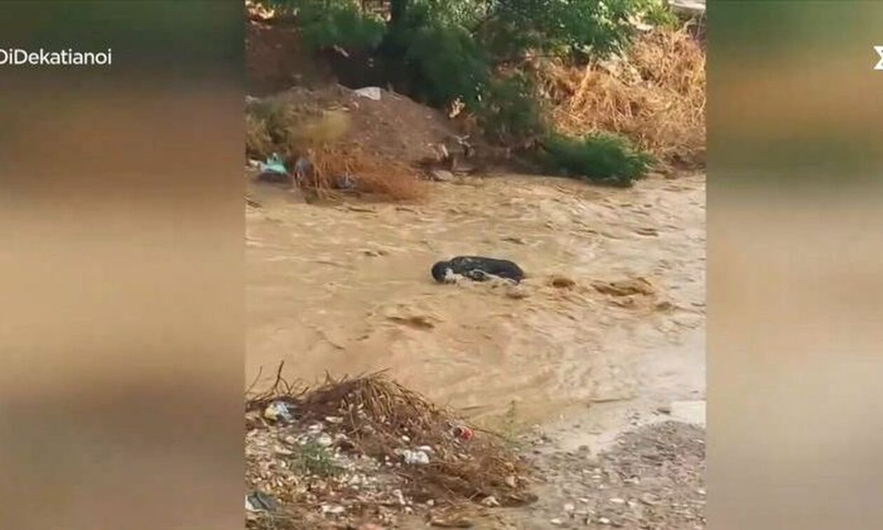 Βίντεο σοκ από το Μενίδι: Άνδρας παρασύρεται από το ρέμα Εσχατιάς