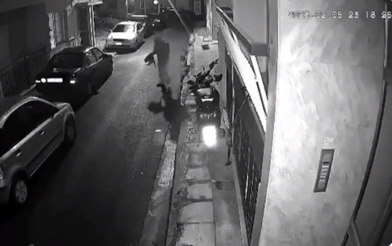 Συνελήφθη εγκληματίας που βασάνιζε και σκότωνε αδέσποτες γάτες