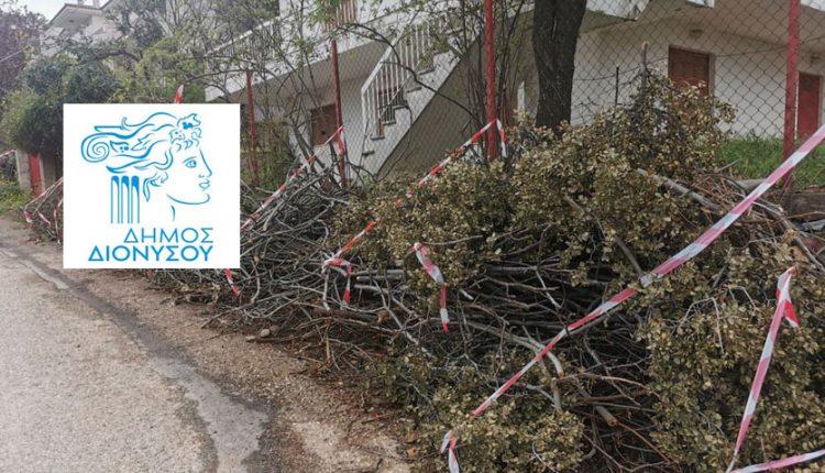 Παράταση προσωρινής απαγόρευσης εναπόθεσης κηπαίων σε δρόμους και κοινόχρηστους χώρους του Δήμου Διονύσου