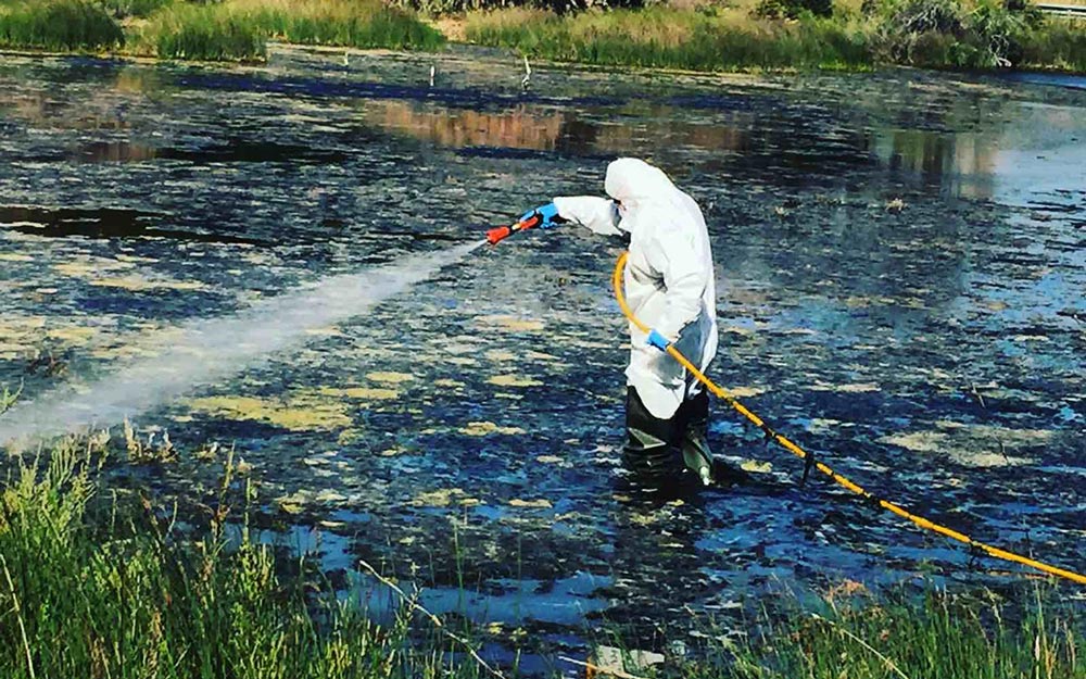 Καταπολέμηση κουνουπιών | Πρόγραμμα 2023 | 2ος κύκλος εφαρμογών από εδάφους από 20/3-29/3.