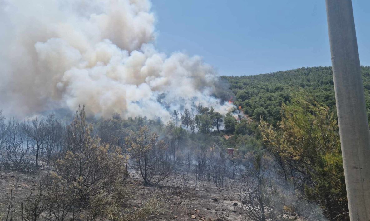 Κυκλοφοριακές ρυθμίσεις στη Φωτιά στον Μαραθώνα - Επιχειρούν 120 πυροσβέστες, δασοκομάντος και 17 εναέρια μέσα – Στην περιοχή μεταβαίνει το επιχειρησιακό κέντρο «Όλυμπος»