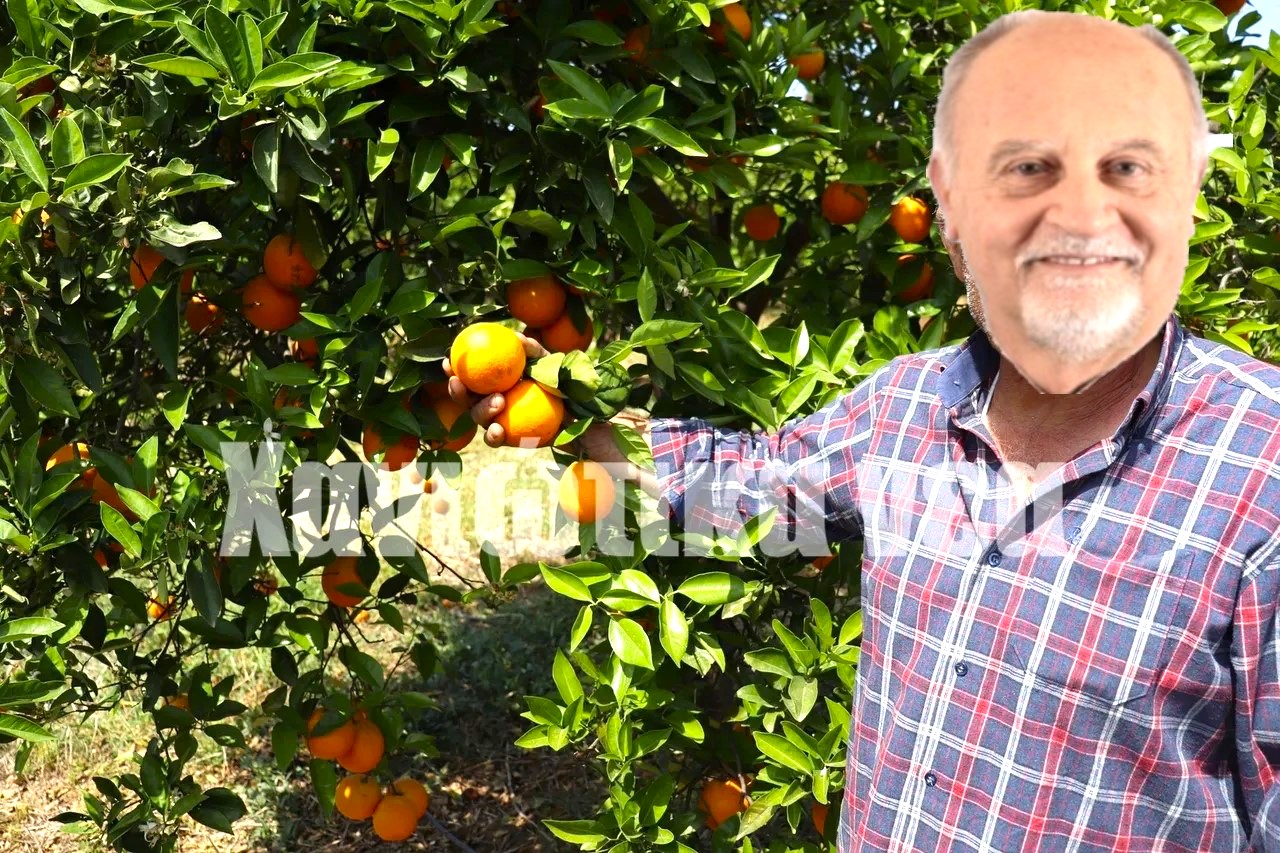 Θέμης Οικονόμου “Aν κατέβουν στους Θρακομακεδόνες κάποιοι υποψήφιοι… τότε υπάρχουν και αλλού πορτοκαλιές που κάνουν πορτοκάλια” 