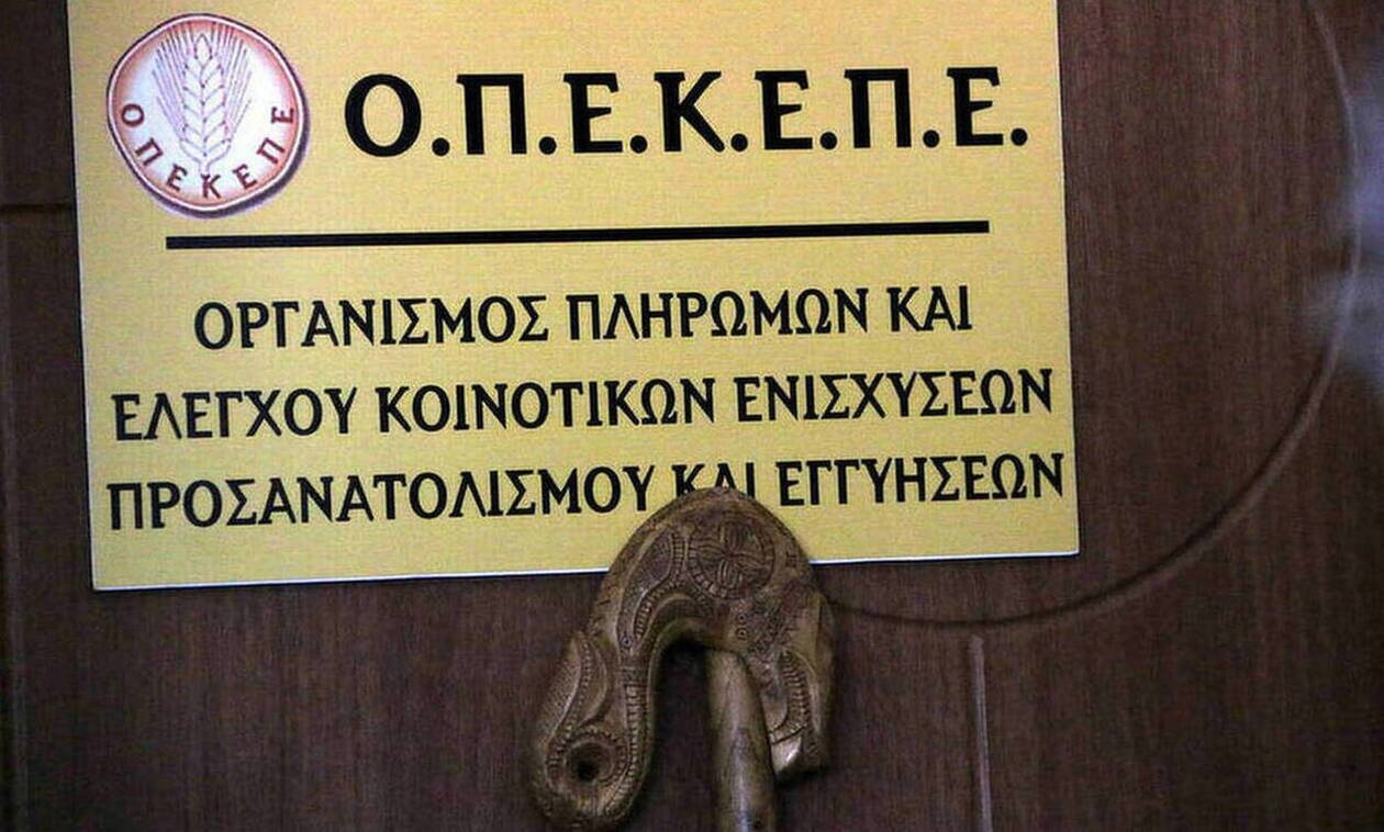ΟΠΕΚΕΠΕ: Παράταση έως 4 Οκτωβρίου για τις αιτήσεις Ενιαίας Αίτησης Ενίσχυσης 2024