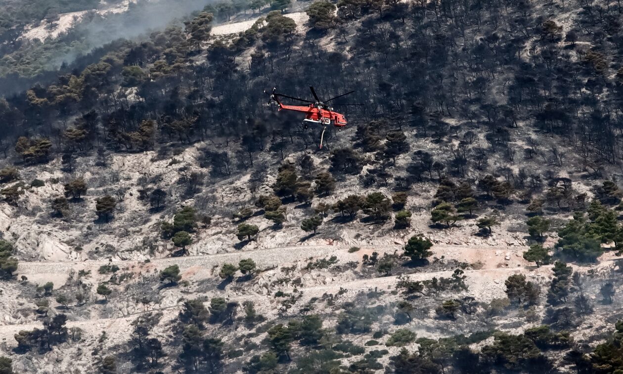 Φωτιά στον Αυλώνα: Κιάλια, αναπτήρες και σπρέι είχαν οι προσαχθέντες - Πρώην δικηγόρος ανάμεσά τους
