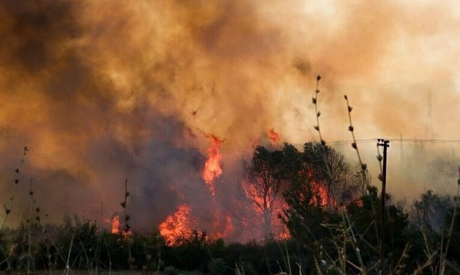 Αποκαλυπτικό ρεπορτάζ: Μπαρουταποθήκη η Πάρνηθα - Φόβοι για νέο παρανάλωμα