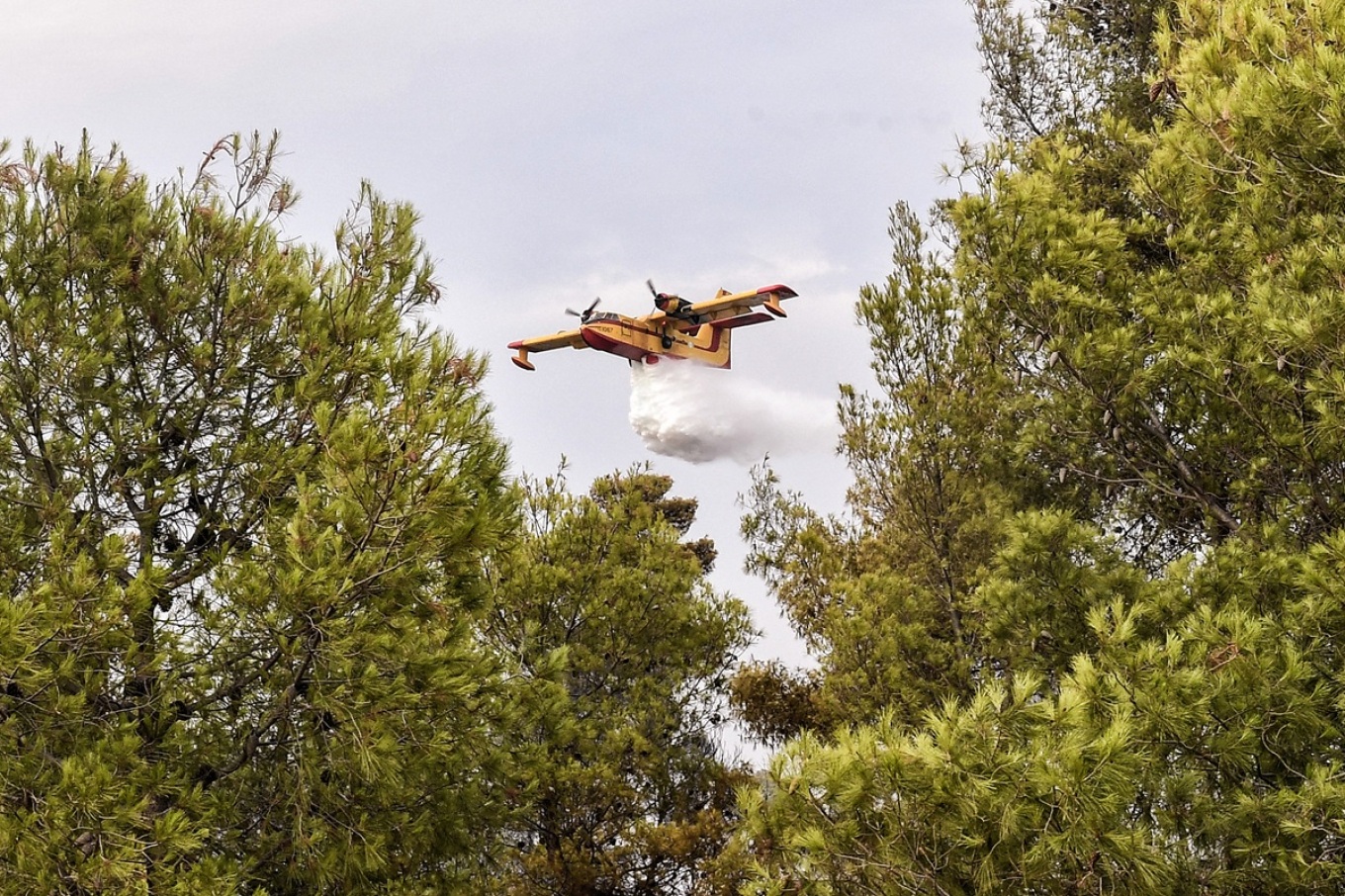 Φωτιά τώρα στην περιοχή Πόρτο Εννιά στην Κερατέα - Σηκώθηκαν 3 εναέρια