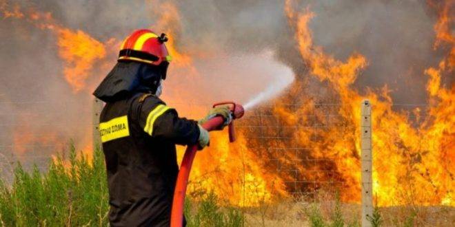Στον "αέρα" η πυροπροστασία στο Δήμο Διονύσου – Ποιοι παίζουν με την ασφάλεια των κατοίκων;