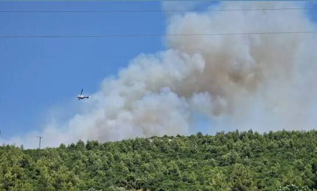 Φωτιά στον Ωρωπό: Ενισχύονται οι δυνάμεις - Έκλεισαν δρόμοι