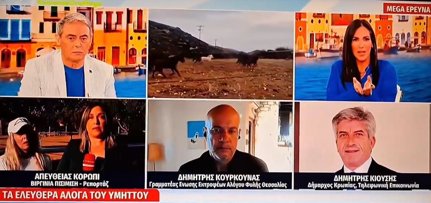 Παρέμβαση του Δημάρχου Κρωπίας Δημήτρη Κιούση, στην εκπομπή "ΚΟΙΝΩΝΙΑ ΩΡΑ MEGA" (βίντεο) για τα άλογα στον Υμηττό.