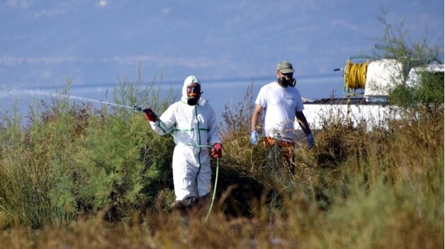 Ιός του Δυτικού Νείλου: Προβληματισμός γα τους τέσσερις θανάτους σε μία εβδομάδα - Στο "κόκκινο" περιοχές της Αττικής