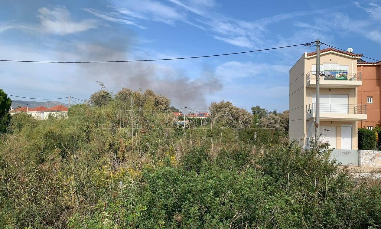 Φωτιά στον Σχοινιά